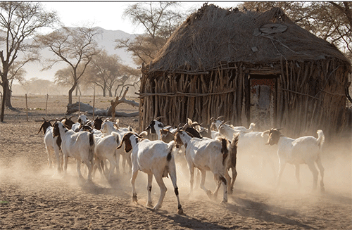 kunene The battle for Kunene… Swapo happy with underdog tag