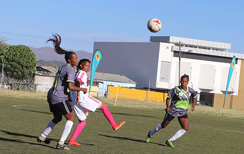 ladies jpg Arrows Ladies look to maintain momentum