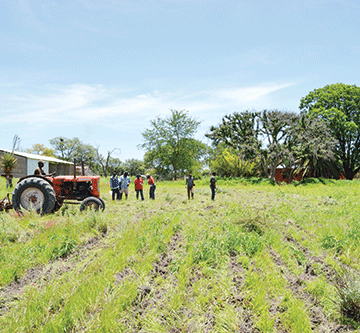 land 1 Land reform ministry returns N$109m to Treasury