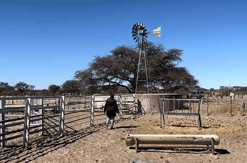 land 2 25 land conference resolutions implemented