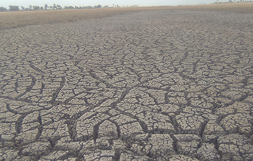 land degradation Namibia committed to tackling land degradation