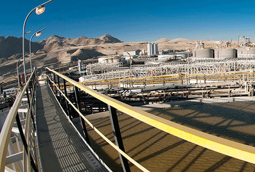 langer Langer Heinrich to resume in 2024