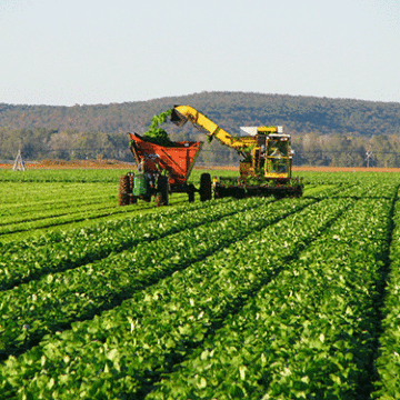 loan Namibia acquires N$2.3 billion loan