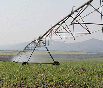 loans Planning for agricultural loans