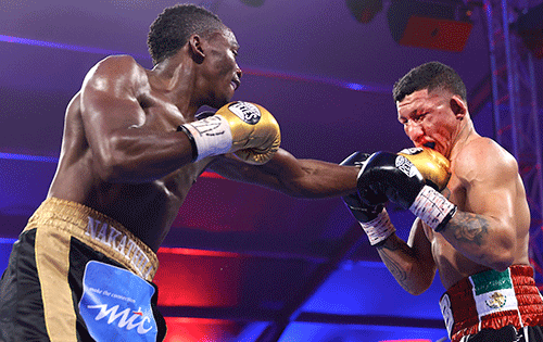 lowkey jpg 1 Boxing legends hail flawless Nakathila…world title shot in sight
