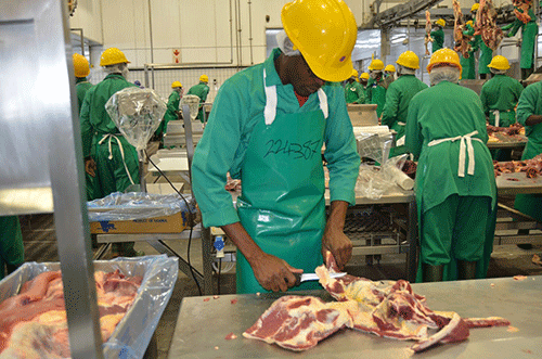 lpo LPO advocates for contract slaughtering