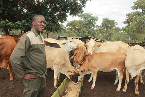 lung Lung sickness measures lifted