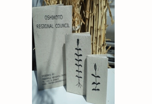 mahnagu paper 1 Producing paper from mahangu stalks