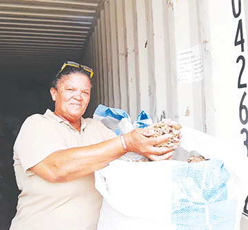 malamtwa Malamatwa a Zambezi a ukama Germany