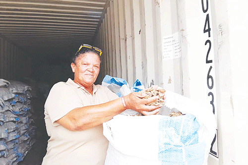 malamtwa Malamatwa a Zambezi a ukama Germany