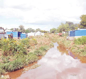 malaria 2 Zambezi records 7 264 malaria cases