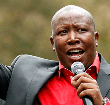 malema Malema calls for unemployed graduate stipends