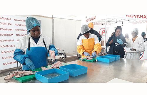 maritime 2 Preserve the ocean for sustainable, resilient economy – Forbes