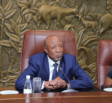 mbumba 1 Mbumba: Seize unfolding economic boom