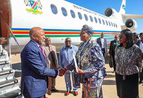 mbumba 2 Mbumba leaves for Tanzania