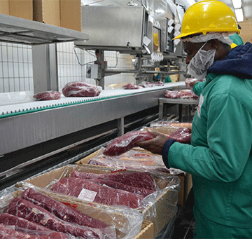 meatco 1 Meatco gets new lifeline from govt