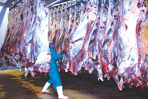 meatco Jooste predicts ‘huge Meatco trouble’… ‘liquidation not an option’