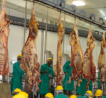 meatco 2 Farmers alarmed by Meatco sabotage talk…northern producers bemoan reputational damage