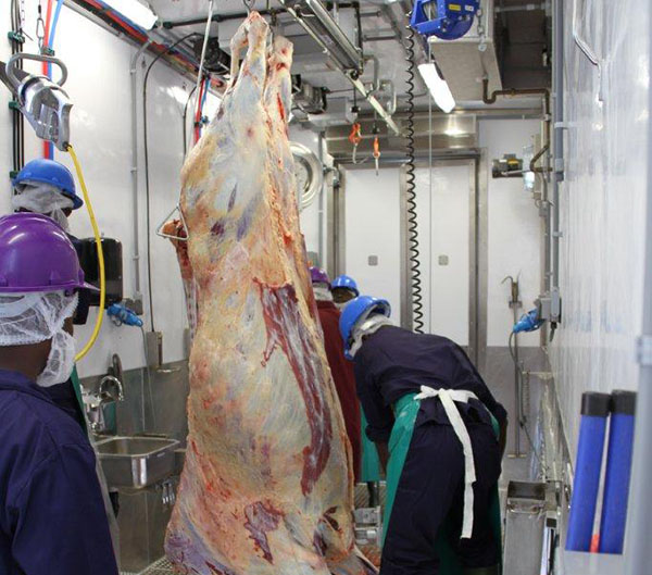 meatco MSU operations for 2021