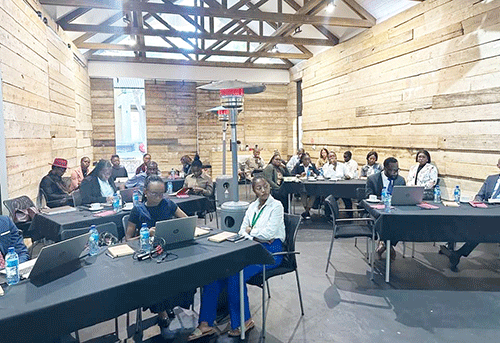 media practitioner pic Ombaanga yaNamibia ya ndungike aatoolinkundana