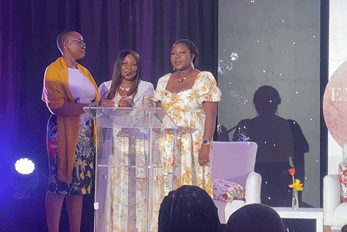 mentorship Sisedi launches mentorship programme and unit trust fund