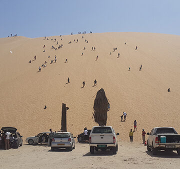 met MET to enforce eco-friendly festive season