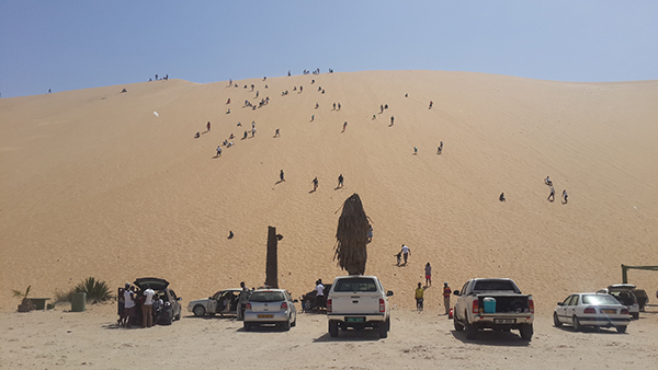 met MET to enforce eco-friendly festive season