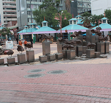 meteorites 1 A trip down meteorite lane