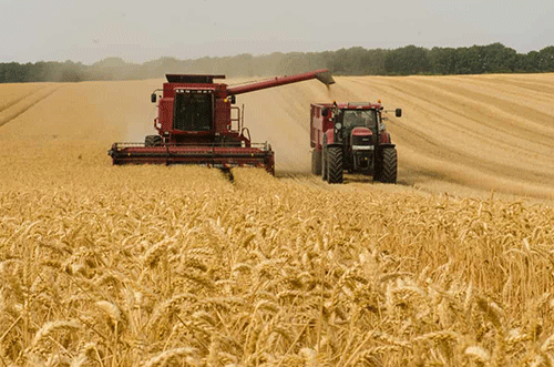 nab story Agriculture – Agronomic board: Ensuring food security and quality