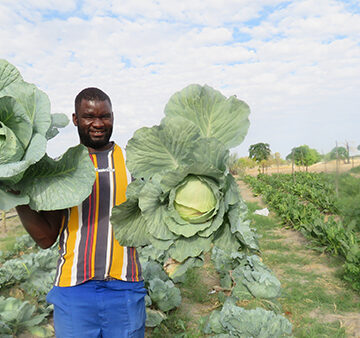 nadjato 1 Scribe turns farming pages…Nandjato finds new home in Far-Far Away Farming