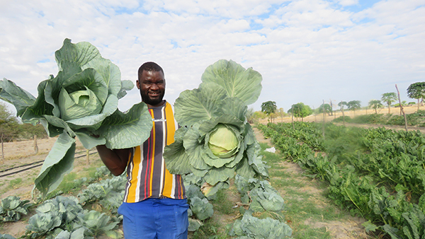nadjato 1 Scribe turns farming pages…Nandjato finds new home in Far-Far Away Farming