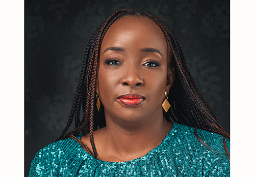 nambata angula Pitfalls of public enterprises board recruitment