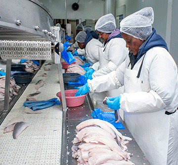 namibias fish Namibiab di ǁauna !hūba xu sîǂuis ge N$3.4 biljuns ai go sī