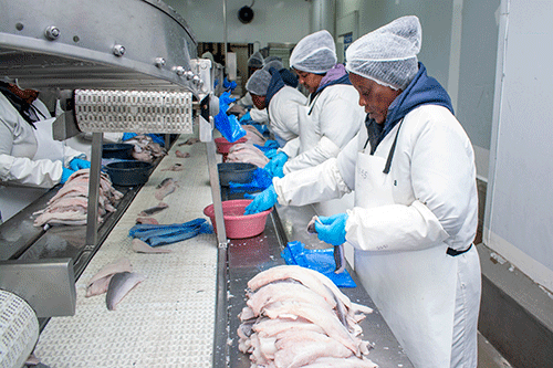 namibias fish Namibiab di ǁauna !hūba xu sîǂuis ge N$3.4 biljuns ai go sī