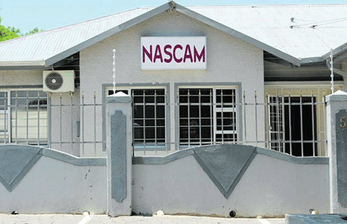 nascam 2 Local artists label Nascam ‘toothless’