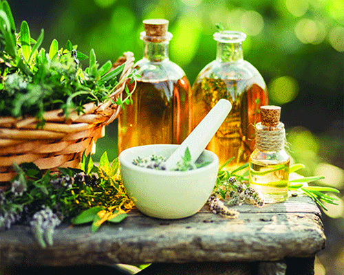 naturo 7 Naturopathy, nature’s way