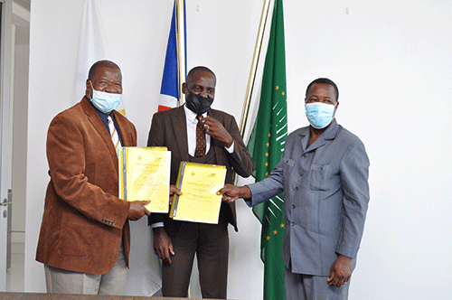 ncaa NCAA’s overall revenue drops by 83%