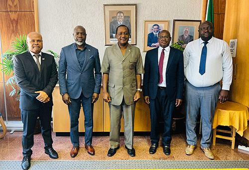 nepc board Reporting to the shareholder