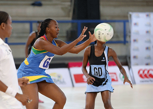 netball jpg Our aim is to turn professional – /Goagoses