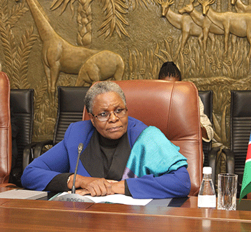 Be patriotic, VP tells Namibian youth 