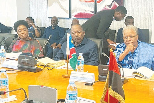 nnn Nandi-Ndaitwah condemns poaching in Angola