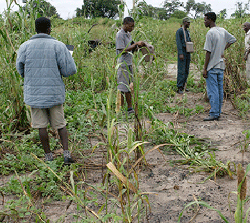 no rain Aanafalama ya lulilwa kegulu lyalonda