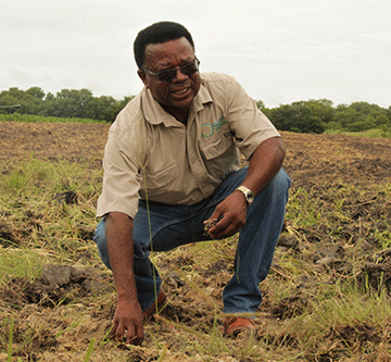 nuyoma2 On the spot – Strategy is key but governance is crucial