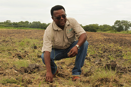 nuyoma2 On the spot – Strategy is key but governance is crucial