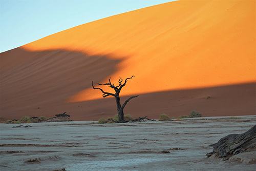 nwr 1 NWR drags Shifeta to court over train concession