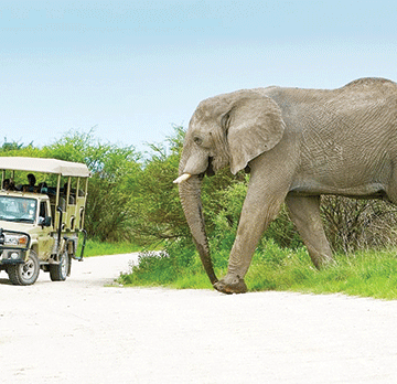 nwr 2 Local travellers disappoint NWR … as only 10% Namibians frequent resorts
