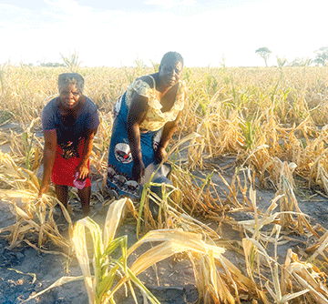 nzie isinya Linzie lisinya masimu mwa Zambezi