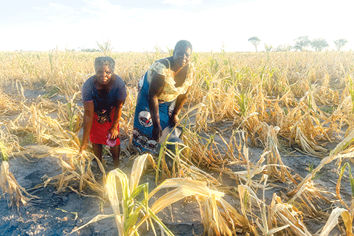 nzie isinya Linzie lisinya masimu mwa Zambezi