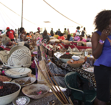 oatf MTC sponsors N$385 000 for OATF preparatory committee