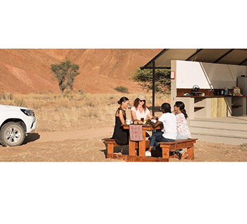 occupancy Leisure travel steering domestic occupancy rates